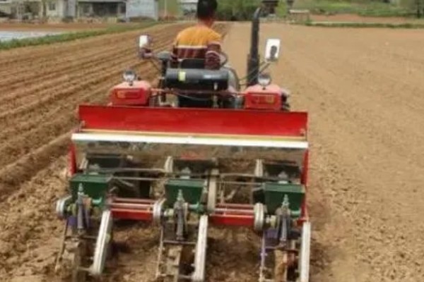 玉米播种深度10厘米能不能出苗,播种过深会导致幼苗无法出土