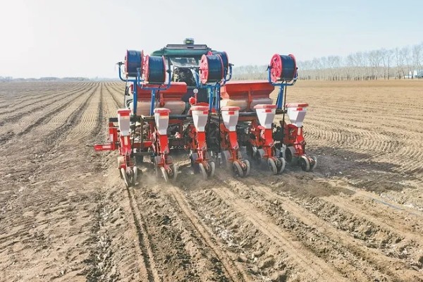 玉米播种深度10厘米能不能出苗,播种过深会导致幼苗无法出土