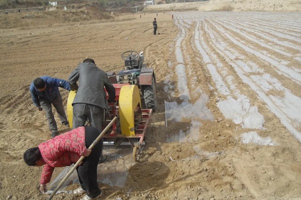 玉米播种深度10厘米能不能出苗,播种过深会导致幼苗无法出土