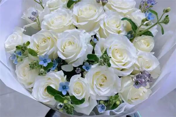 黑玫瑰有什么花语,代表极致的爱、虚伪等含义