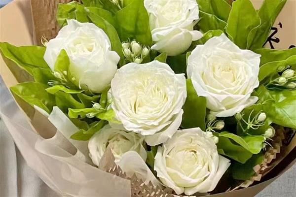 黑玫瑰有什么花语,代表极致的爱、虚伪等含义