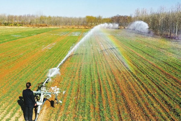 冬小麦节水保墒的措施，要改进地面灌溉技术