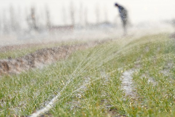 冬小麦节水保墒的措施，要改进地面灌溉技术