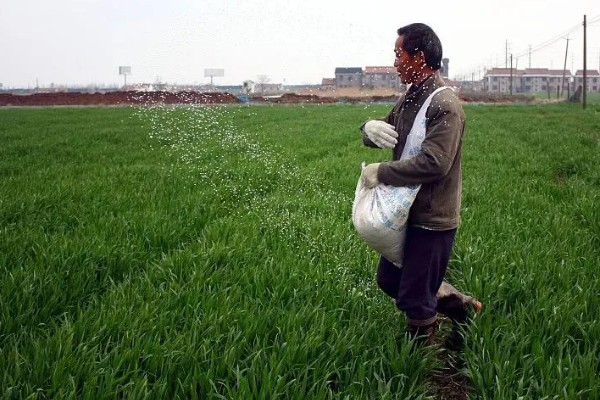 冬小麦节水保墒的措施，要改进地面灌溉技术