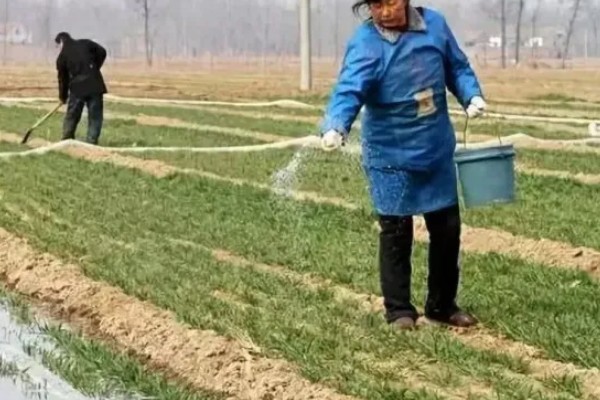 冬小麦节水保墒的措施，要改进地面灌溉技术