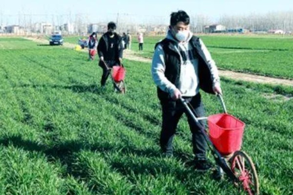 冬小麦节水保墒的措施，要改进地面灌溉技术