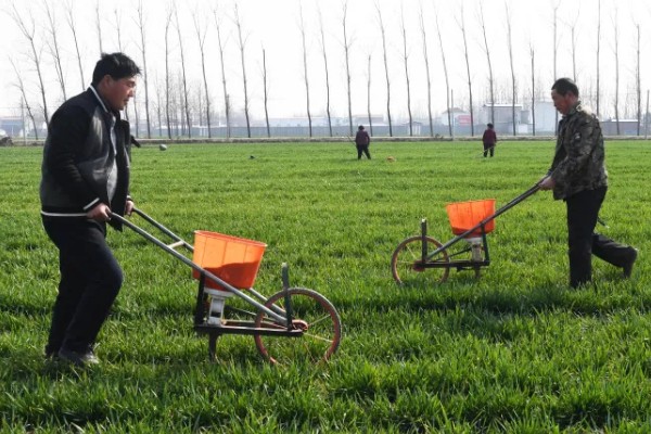 冬小麦节水保墒的措施，要改进地面灌溉技术