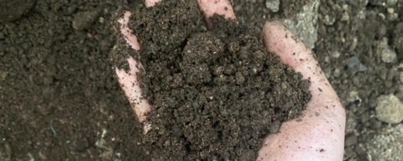 牛粪腐熟所需时间,经过10-15天即可完成发酵