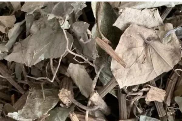 千金藤的价格，价格在45-70元一斤左右