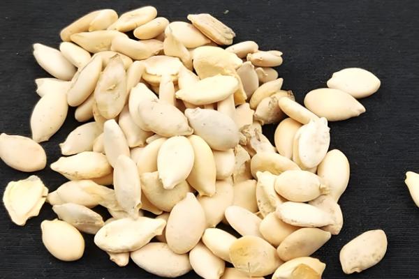 冬瓜的育苗技术，将育苗盘搬到温暖的地方养