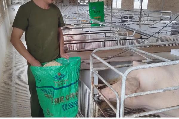 猪饲料的保质期,夏季保质期是3个月