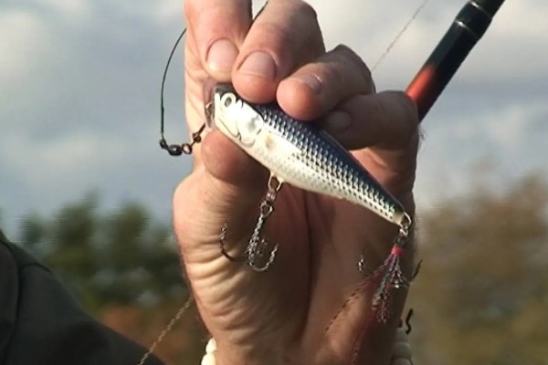 9米鱼竿怎么搭配鱼线,根据鱼竿的调性做选择