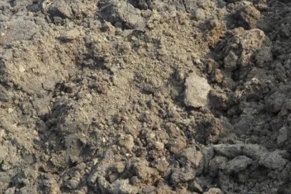 牛粪腐熟所需时间,经过10-15天即可完成发酵