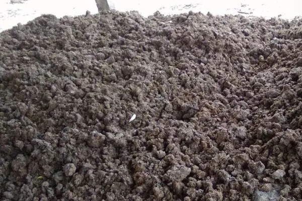 牛粪腐熟所需时间,经过10-15天即可完成发酵