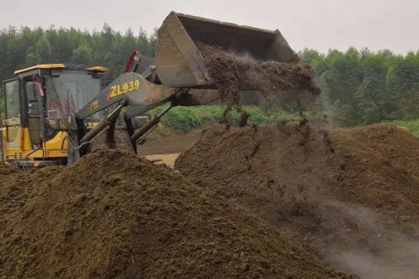 牛粪腐熟所需时间,经过10-15天即可完成发酵