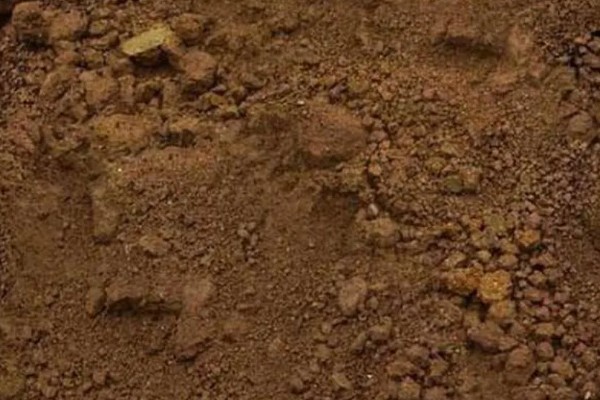 容易缺硼的土壤有哪些，常见沙土、风沙土等土壤