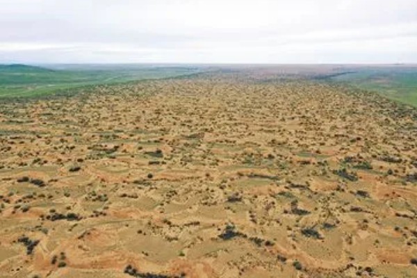 容易缺硼的土壤有哪些，常见沙土、风沙土等土壤