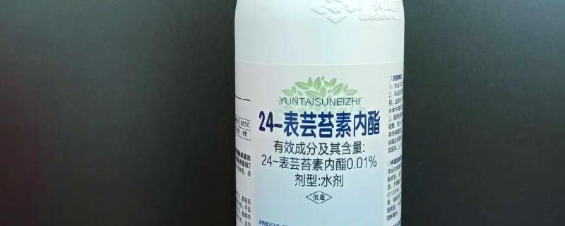 芸苔素内酯有什么作用，可促进根系生长、提高作物产量