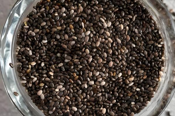 韭菜15天了为何不长，陈旧的种子不易出芽