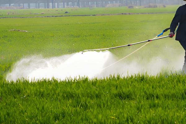 芸苔素内酯有什么作用，可促进根系生长、提高作物产量
