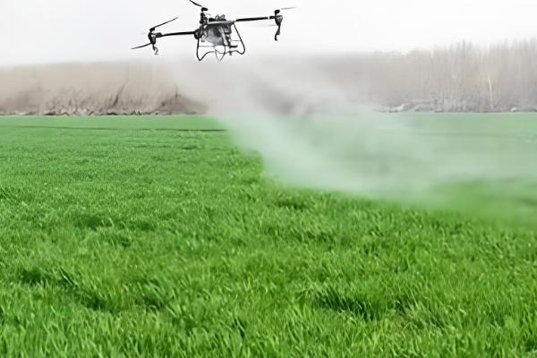 芸苔素内酯有什么作用，可促进根系生长、提高作物产量