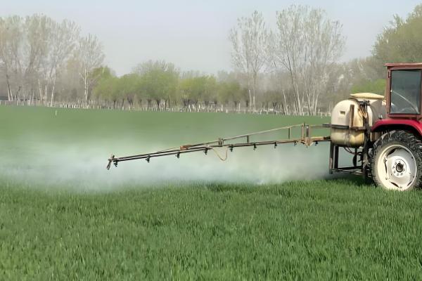 芸苔素内酯有什么作用，可促进根系生长、提高作物产量
