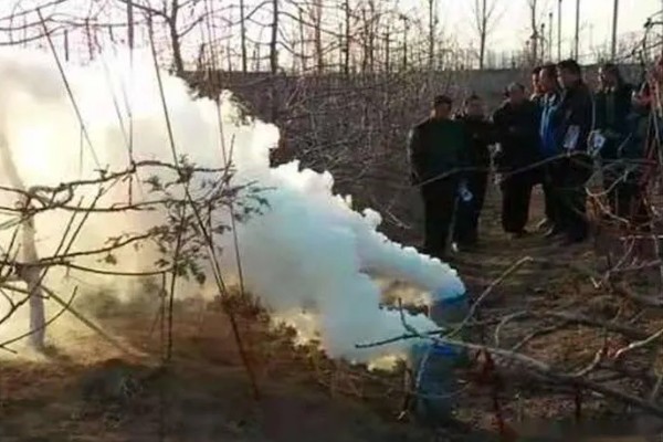 李子树冬季的防冻措施，受到冻害之后短期内不要急于修剪