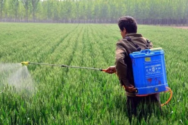 2甲灭草松的防治对象，对水莎草、异型莎草等杂草有效果