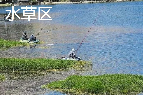 大型水库全天作钓的打窝方法，将窝料投至窝点并定时补窝