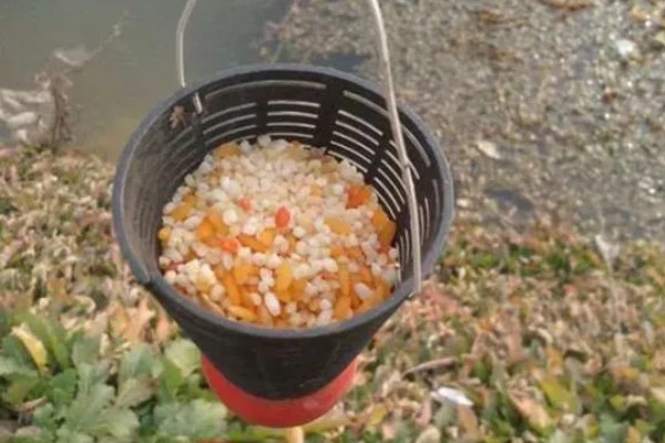 大型水库全天作钓的打窝方法，将窝料投至窝点并定时补窝