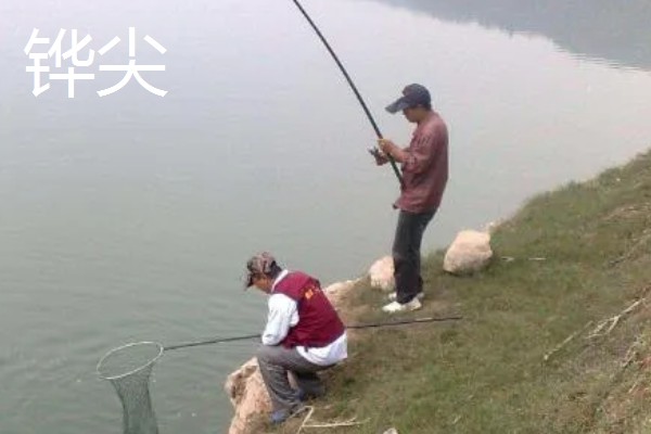 大型水库全天作钓的打窝方法，将窝料投至窝点并定时补窝