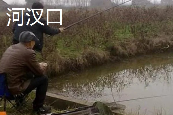 大型水库全天作钓的打窝方法，将窝料投至窝点并定时补窝