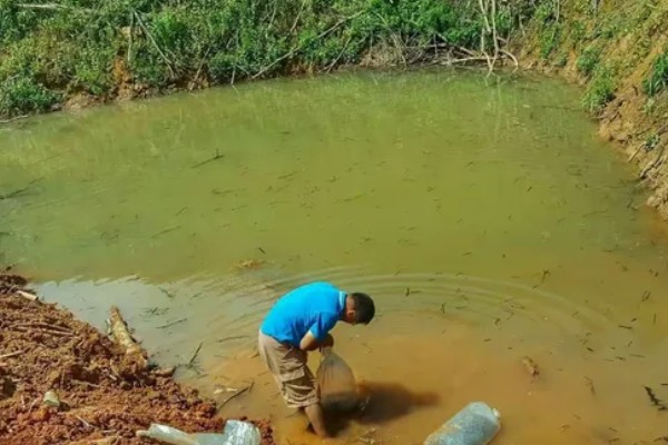 鳜鱼苗如何养，吃食期间打开辅助刺激进食