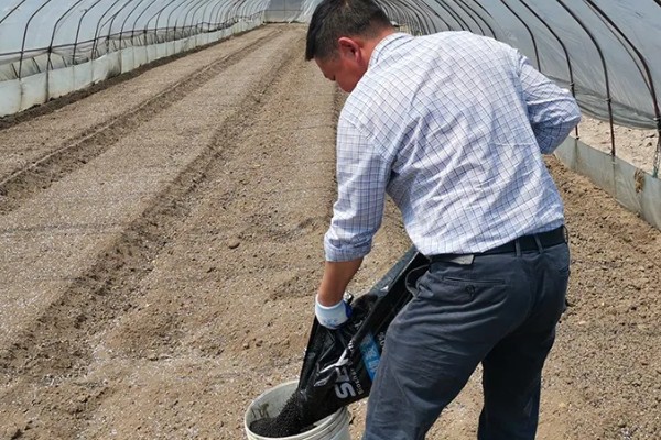 土壤有效磷如何增加，可增施有机肥料