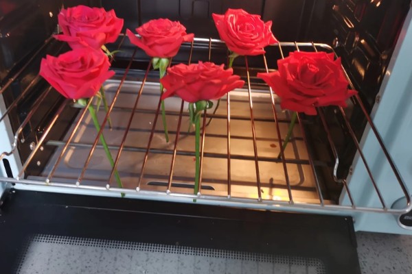 玫瑰花制成干花的方法,用烤箱烘烤一段时间就会干燥