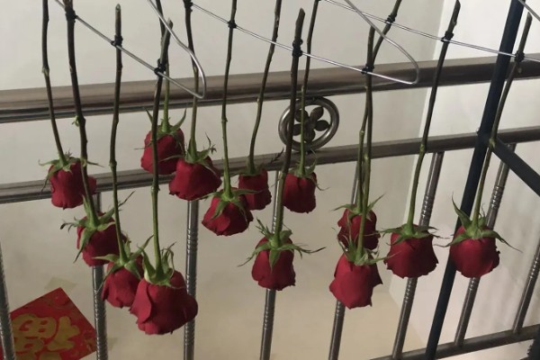 玫瑰花制成干花的方法,用烤箱烘烤一段时间就会干燥