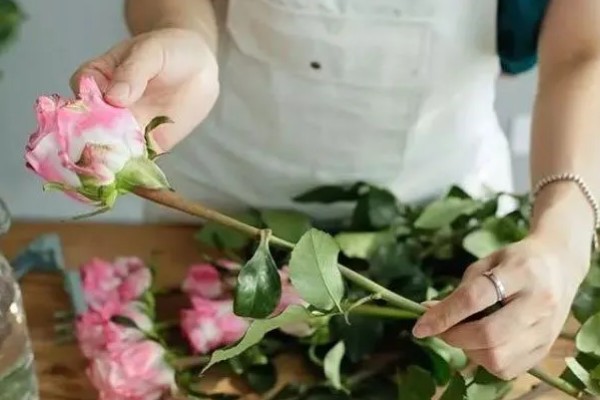 玫瑰花制成干花的方法,用烤箱烘烤一段时间就会干燥