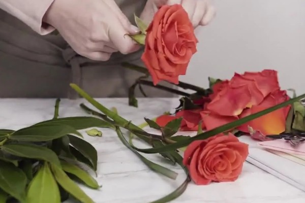 玫瑰花制成干花的方法,用烤箱烘烤一段时间就会干燥