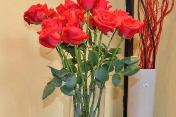 玫瑰花制成干花的方法,用烤箱烘烤一段时间就会干燥