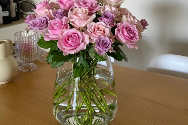 玫瑰花制成干花的方法,用烤箱烘烤一段时间就会干燥