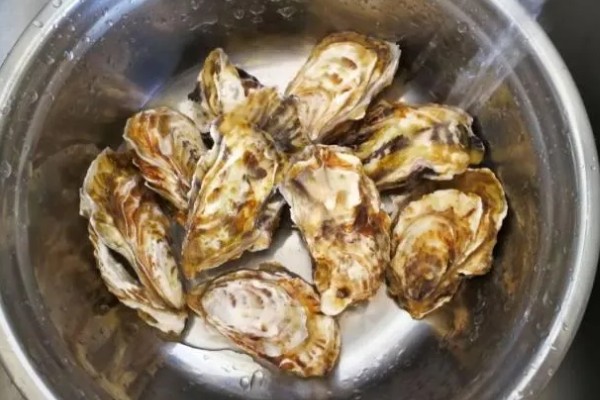 生蚝吃什么，吃海水中的微型藻类