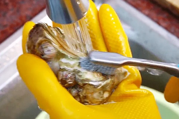 生蚝吃什么，吃海水中的微型藻类