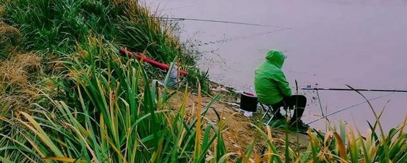 新手怎么选鱼竿,选择3.6米到5.4米的鱼竿为佳