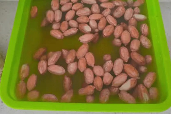 花生的种植方法,每穴播种两粒