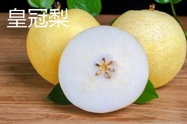 口感最好吃的梨，有皇冠梨、砀山酥梨等