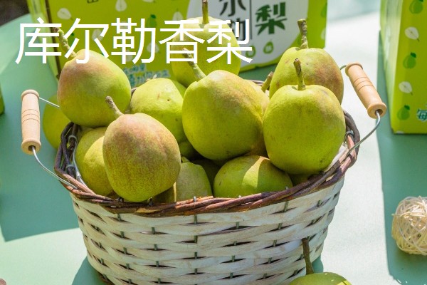 口感最好吃的梨，有皇冠梨、砀山酥梨等