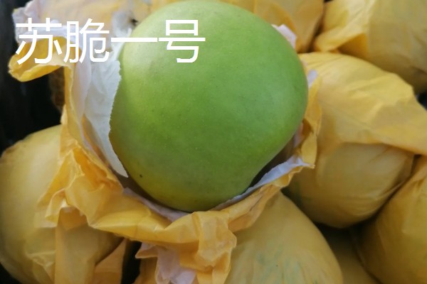 口感最好吃的梨，有皇冠梨、砀山酥梨等