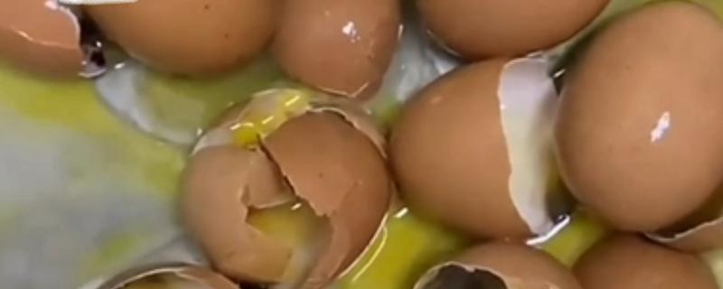 臭鸡蛋如何发酵浇花，将其放在一个密闭的容器中混水发酵