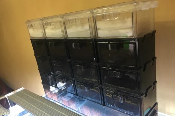 滴流盒滤材的摆放顺序，第一层下面铺玻璃环