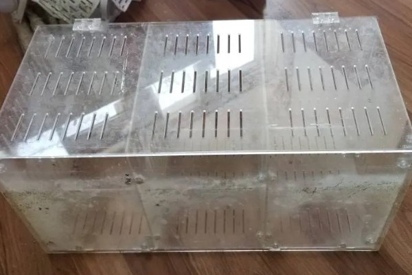 滴流盒滤材的摆放顺序，第一层下面铺玻璃环